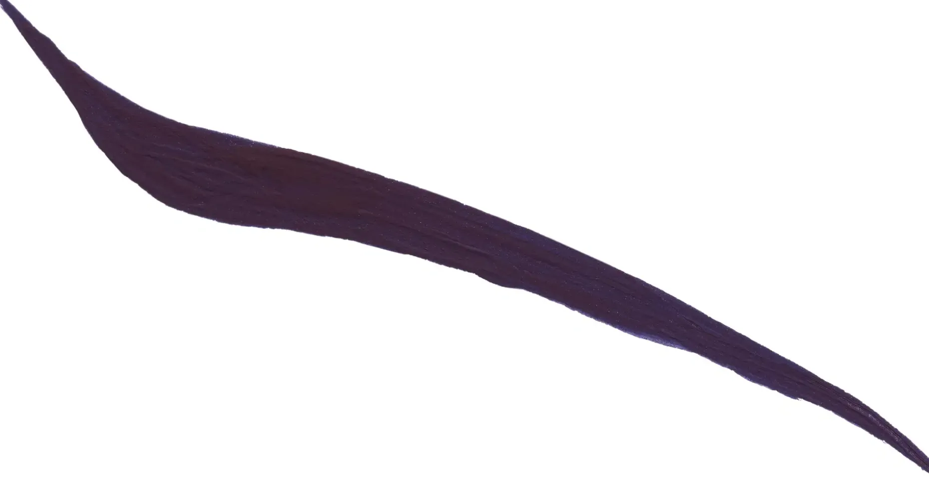 Anastasia Beverly Hills Liquid Eyeliner silmänrajauskynä 2,4 ml