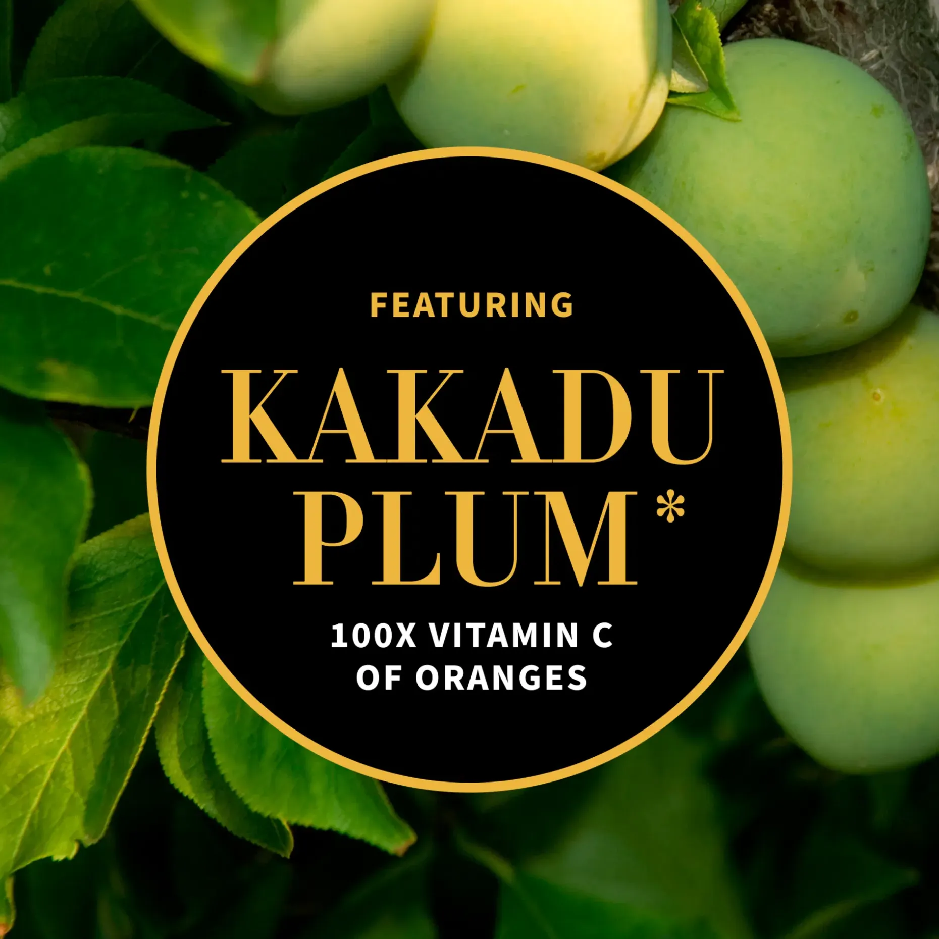 Antipodes Glow Vitamin C Brightening Serum 30 ml