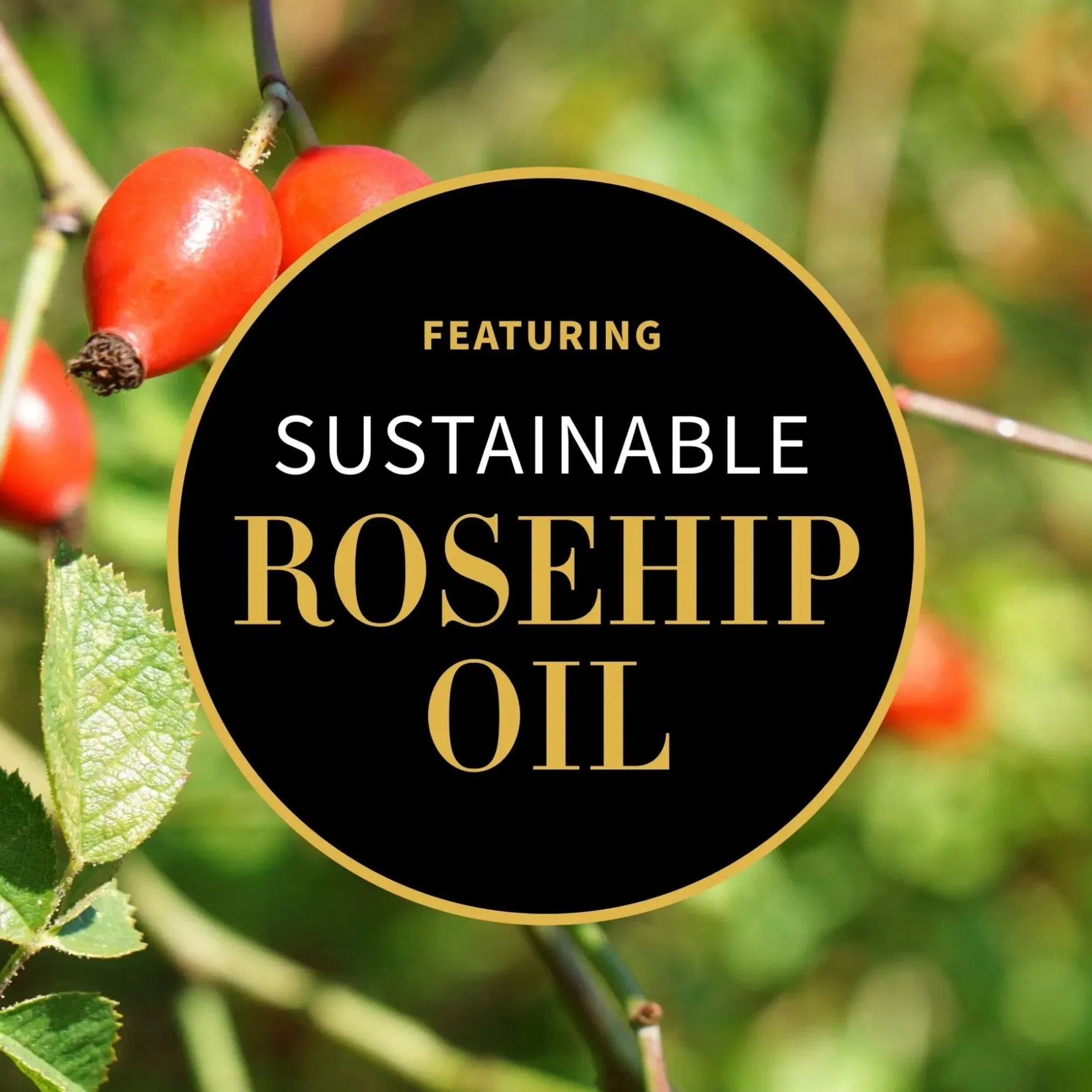 Antipodes Vanilla Pod Hydrating Day Cream matkakokoinen päivävoide 15 ml