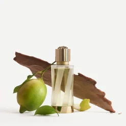 Atelier Versace Cédrat de Diamante EdP 100ml