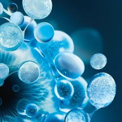 Biotherm Aquasource Hydra Barrier Cream päivävoide 50 ml