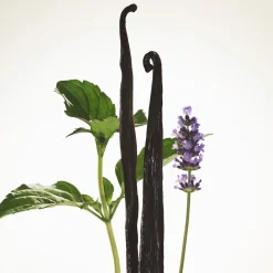 Burberry Goddess EdP Intense tuoksu 30 ml