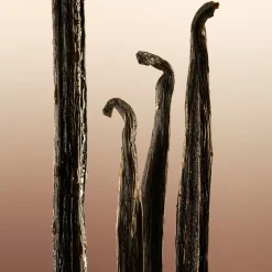 Burberry Goddess EdP tuoksu 50 ml