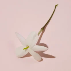 Burberry Her Elixir de Parfum for Women tuoksu 30 ml