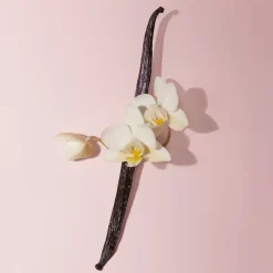 Burberry Her Parfum 30 ml -tuoksu