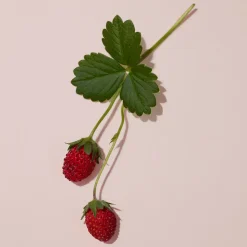 Burberry Her Parfum Intense -tuoksu 30 ml