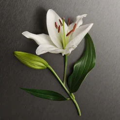 Calvin Klein Eternity EdP tuoksu 30 ml