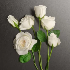 Calvin Klein Eternity EdP tuoksu 30 ml