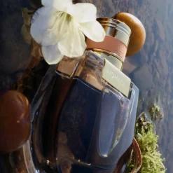 Chloé Nomade EdP tuoksu 30 ml