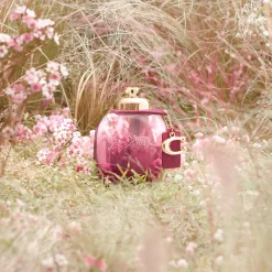 Coach Wild Rose EdP tuoksu 30 ml