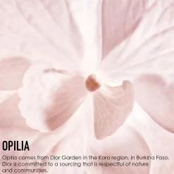 DIOR Dreamskin 1-Minute Mask kasvonaamio 75 ml