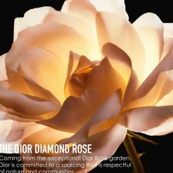 DIOR Prestige La Crème Texture Essentielle kasvovoide 50 ml