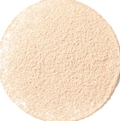 Dr. Hauschka Loose powder irtopuuteri 00 translucent 12 g