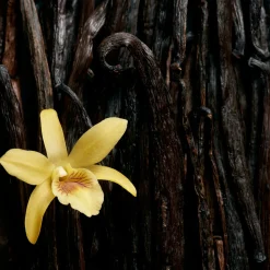 Escada Celebrate N.O.W. EdP tuoksu 30 ml