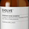 Evolve Organic Beauty Superfood Shine Shampoo 250ml