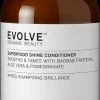 Evolve Organic Beauty Superfood Shine Conditioner Hoitoaine 250ml