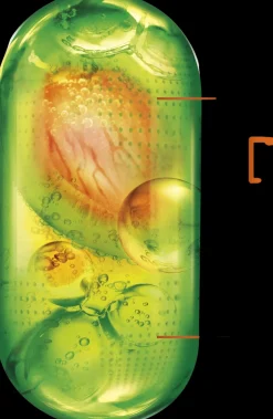 Garnier Fructis Keratin Sleek Hoitoaine pörröisille hiuksille 200 ml