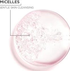 Garnier GAR EAU MICC EXPERT 400 DNSF