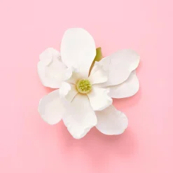 Gucci Flora Gorgeous Jasmin for Woman EdP tuoksu 30 ml