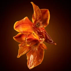 Hugo Boss The Scent Intense for Her EdP 30 ml -tuoksu