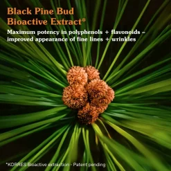 KORRES Black Pine Primus 6HA Wrinkle Smooth Youth Activator Booster seerumi 30 ml