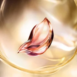 Lancôme Absolue Soft Cream päivävoide 60 ml