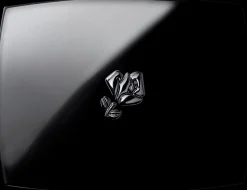 Lancôme Blush Subtil Powder Blush poskipuna 5,5 g