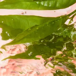 Lancôme Idôle EdT tuoksu 25 ml