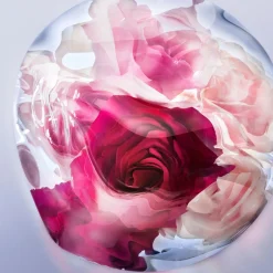 Lancôme La Vie est Belle Rose Extraordinaire EdP tuoksu 50 ml