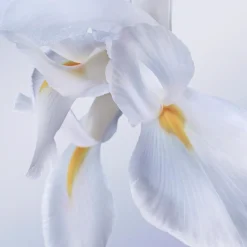 Lancôme La Vie est Belle Rose Extraordinaire EdP tuoksu 50 ml