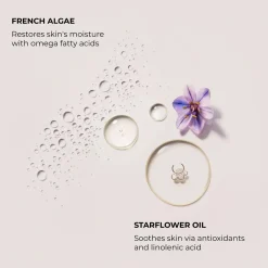 Laura Mercier Soufflé Hand Cream Ambre Vanille käsivoide 50 ml