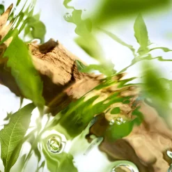 Les Ô Off Now EdT 100 ml -tuoksu