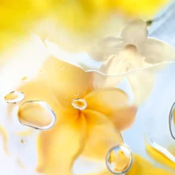 Les Ô Zenith EdT 100 ml -tuoksu