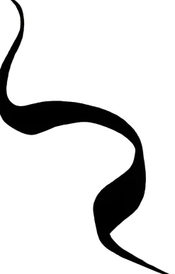 Lumene Intense Precision nestemäinen rajausväri 1,7 ml