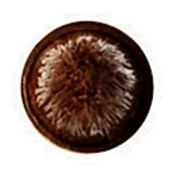 MAC Eye Liner Brush 209 sivellin