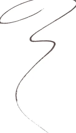 Maybelline New York Express Brow Ultra Slim 06 Black brown -kulmakynä 0,84g