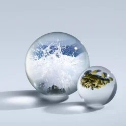 Molton Brown Coastal Cypress & Sea Fennel EdP tuoksu 100 ml