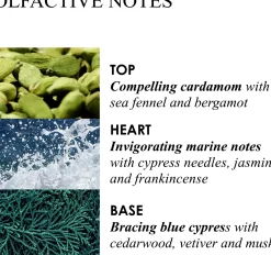 Molton Brown Coastal Cypress & Sea Fennel Hand Lotion käsivoide 300 ml