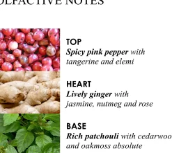 Molton Brown Fiery Pink Pepper Bath & Shower Gel Refill suihkugeelin täyttöpakkaus 400 ml