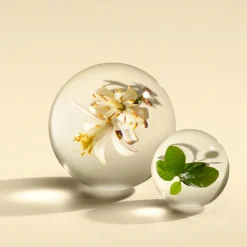 Molton Brown Orange & Bergamot EdP tuoksu 100 ml