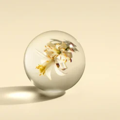 Molton Brown Orange & Bergamot Hand Cream käsivoide 40 ml