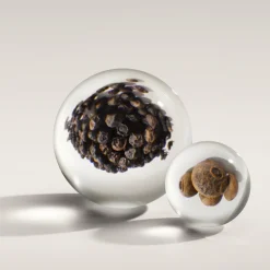 Molton Brown Re-Charge Black Pepper EdP tuoksu 100 ml