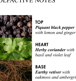 Molton Brown Re-Charge Black Pepper Bath & Shower Gel suihkugeeli 300 ml