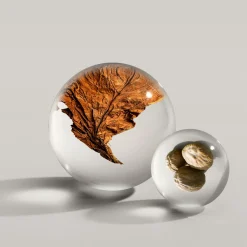 Molton Brown Tobacco Absolute EdP tuoksu 100 ml