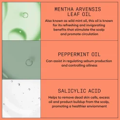 Nioxin System 4 Shampoo 300 ml