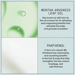 Nioxin Volumiz+Thickening Mousse muotovaahto 200 ml