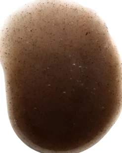 NOBE Nordic Beauty Forest Elixir™ Microbiome Enriching Gel Moisturizer voide 50 ml