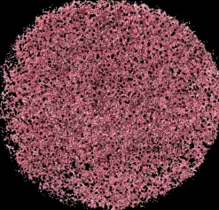 NYX Professional Makeup Face & Body Glitter kimalle kasvoille ja vartalolle 2,5 g