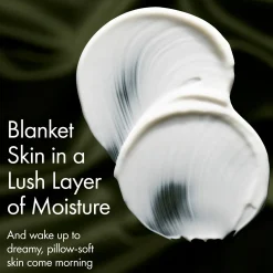 Origins Dr. Weil Mega Mushroom Overnight Recovery Cream yövoide 50 ml