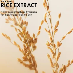 Origins Plantscription Lifting + Firming Cream kasvovoide 50 ml